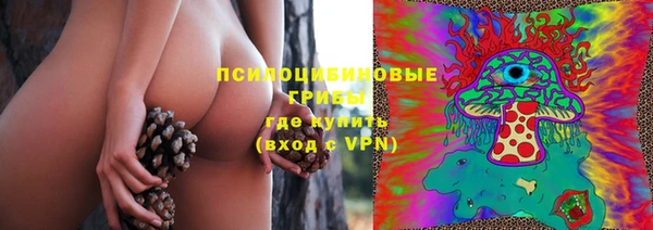 спиды Белокуриха